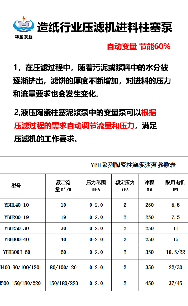 造紙行業(yè)壓濾機進料柱塞泵